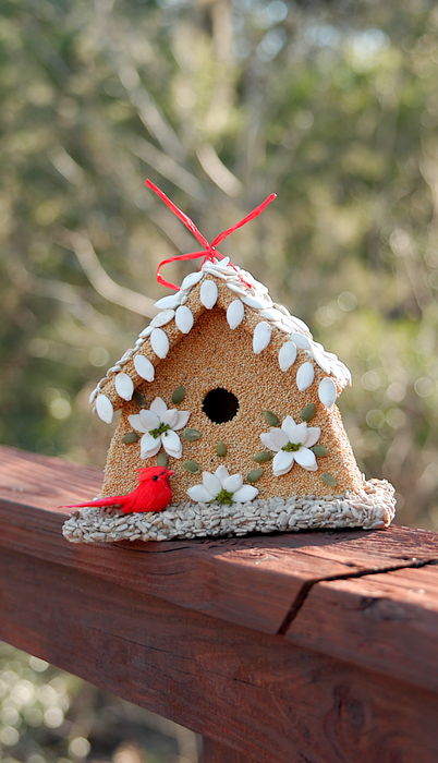 Poinsettia House