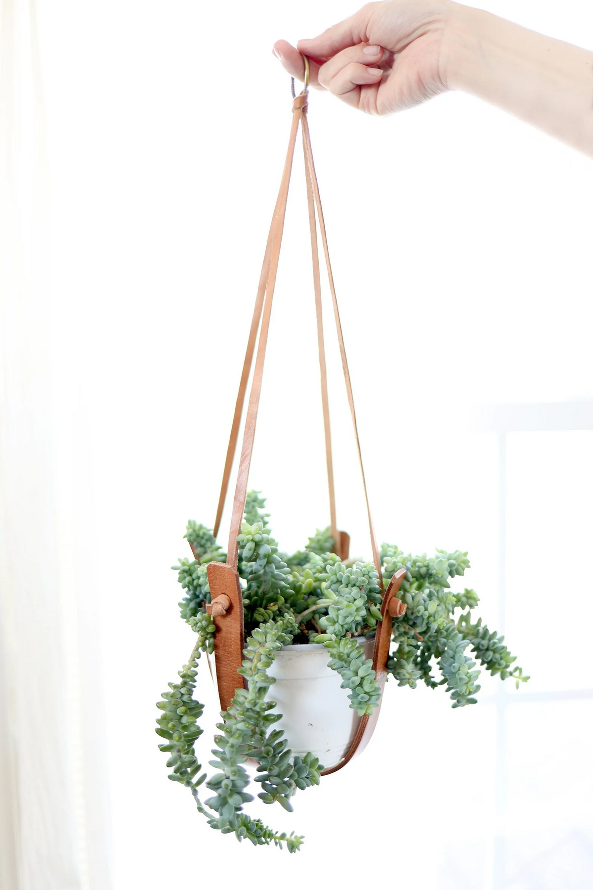 etsy hanging plant holder Small Flourish Plant Hanger– Highland Ridge Decor