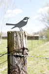 Steel Mockingbird statue for outdoor garden decor