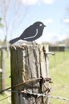 Metal Bird Statue - Chickadee