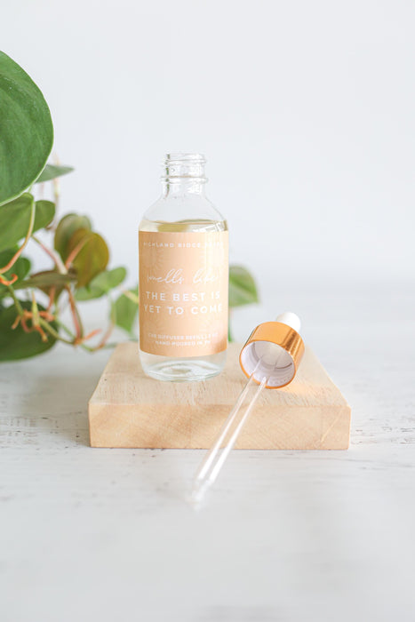 The Best is Yet to Come Car Diffuser Refill | car freshie refill | bottle diffuser refill | sweet citrus scent | scented air freshener