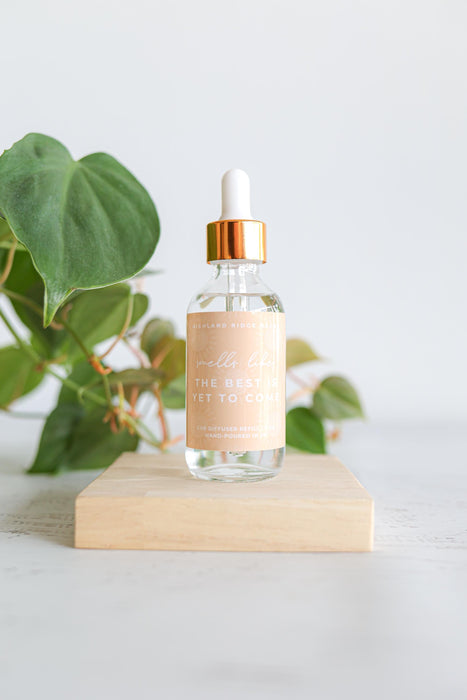 The Best is Yet to Come Car Diffuser Refill | car freshie refill | bottle diffuser refill | sweet citrus scent | scented air freshener