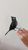 Metal Bird Statue - Singing Mockingbird / Robin |  singing mockingbird statue bird watcher garden gift bird art rustic outdoor decor