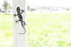 Gecko Statue Metal Art |  gecko garden statue cottagecore mothers day garden gift grandmillennial spring garden outdoor decor inspiration
