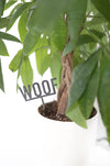 Woof Plant Stake |  garden gift farmhouse decor dog lover houseplant word art plant accessory rustic decor
