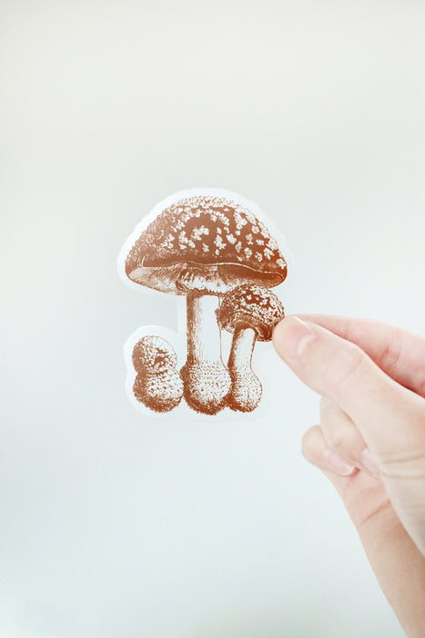 Mushroom Sticker | brown clear plant lover gift forest garden sticker laptop decal cottagecore