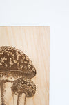 Wooden Mushroom Panel Wall Art  |  forest decor botanical cottagecore rustic farmhouse home decor gallery wall mushroom art cabincore